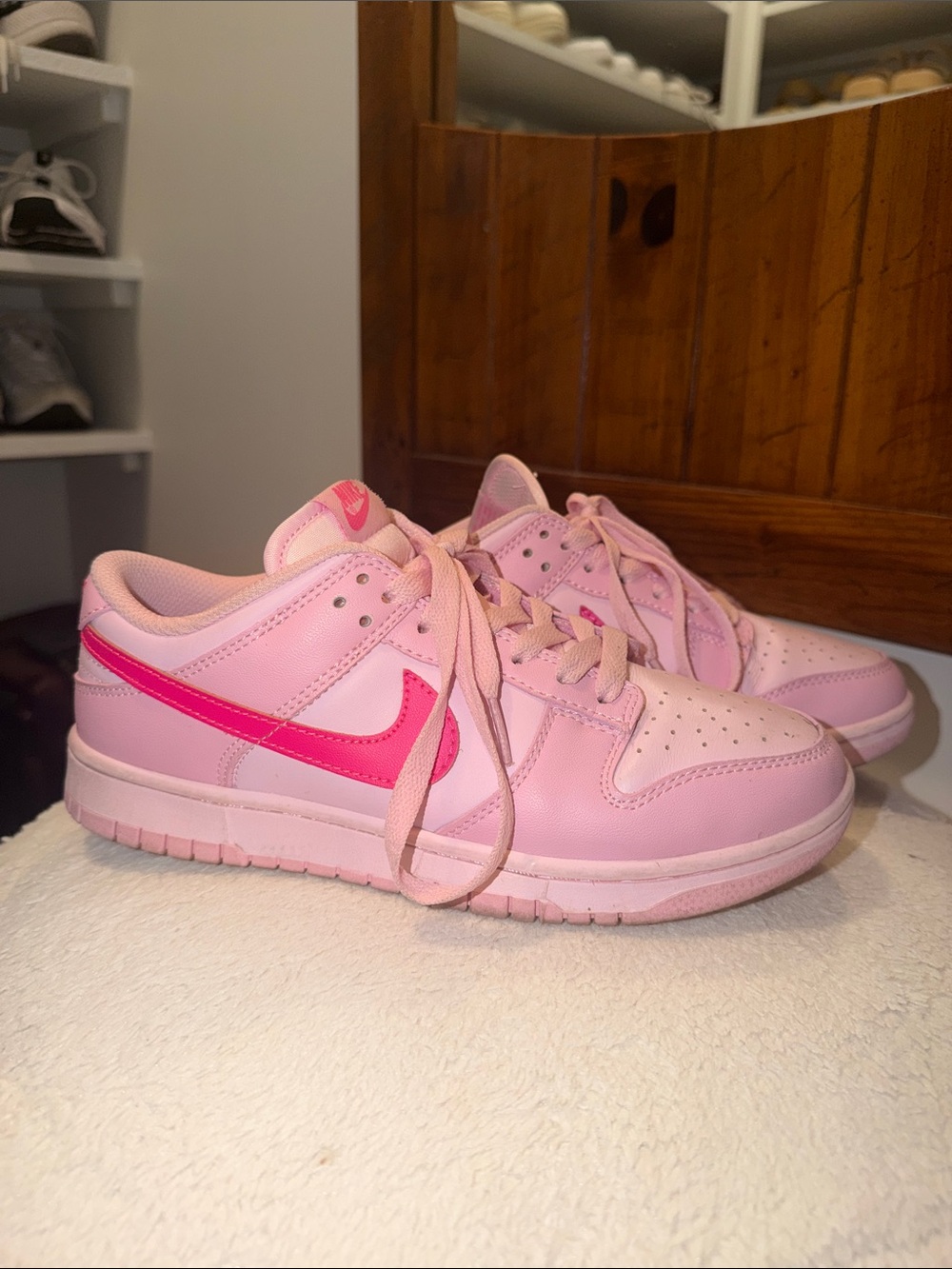 Womens Nike Dunk Lows